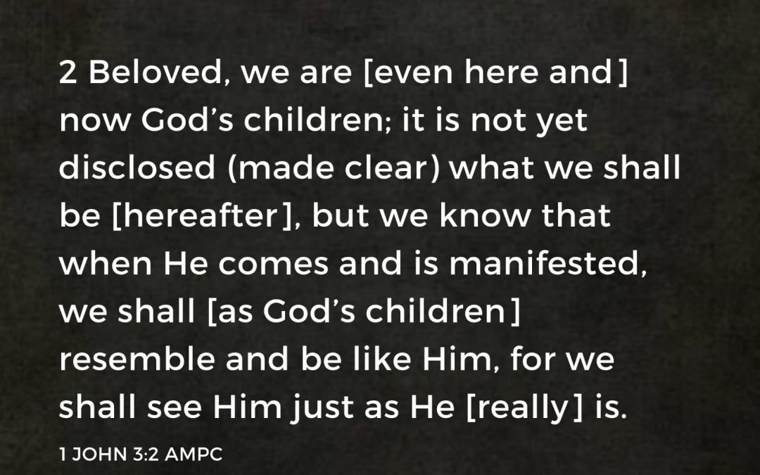 we shall see him as he is.