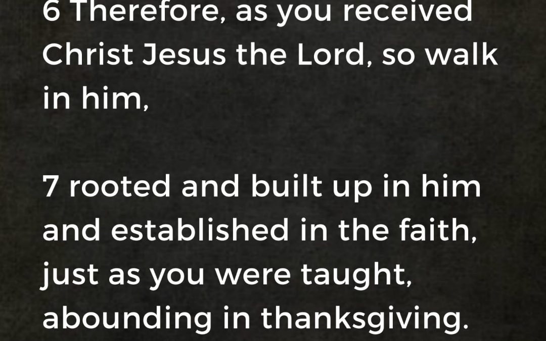 As you received Christ Jesus, so walk in him,