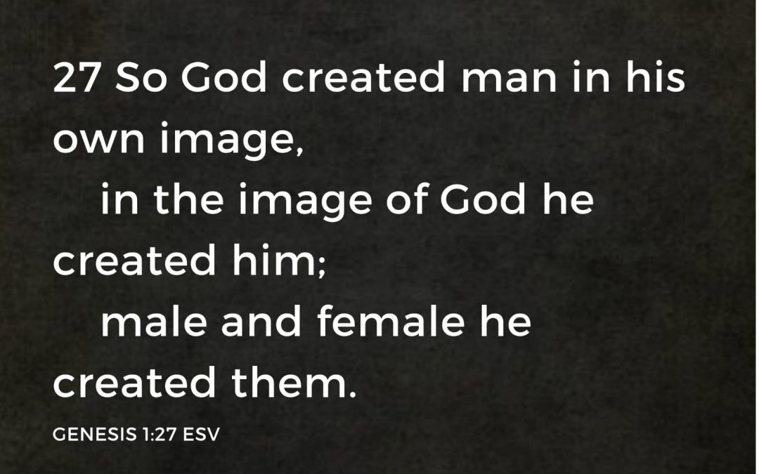 Part 8 – What is the difference? Animals vs Human being