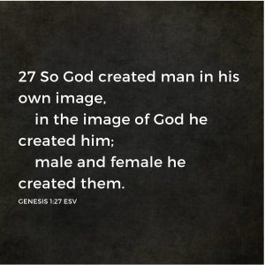 Genesis 1:27