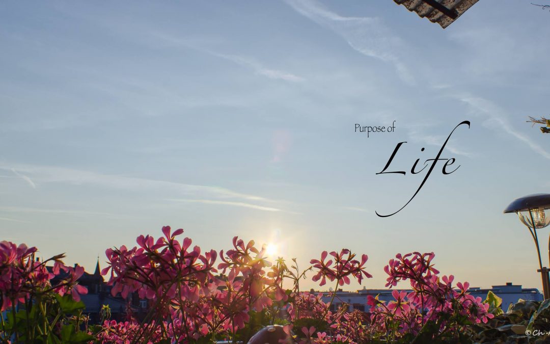 Purpose of Life and my balcony